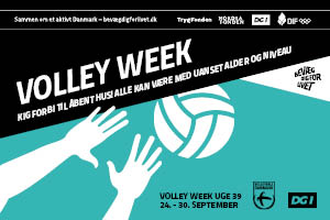 30176 BDFL Volley webbanner 300x200